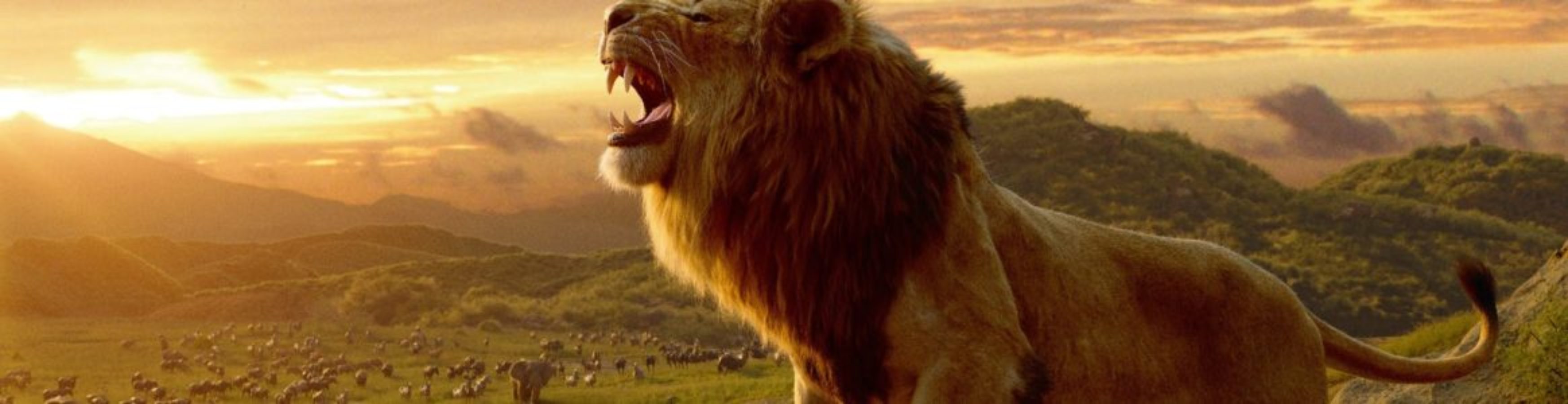 prime movies lion king free online